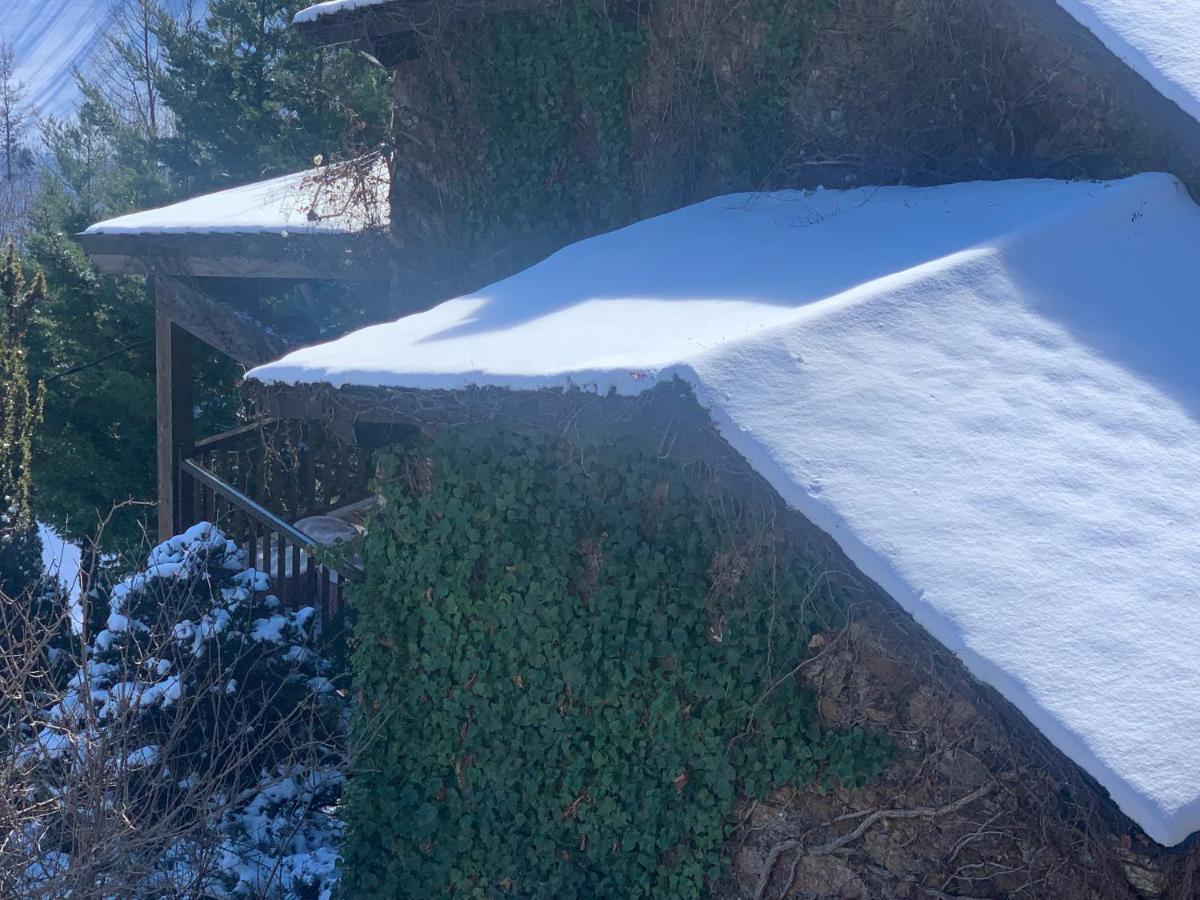 Casa Rural Pirineu Neva Εξωτερικό φωτογραφία